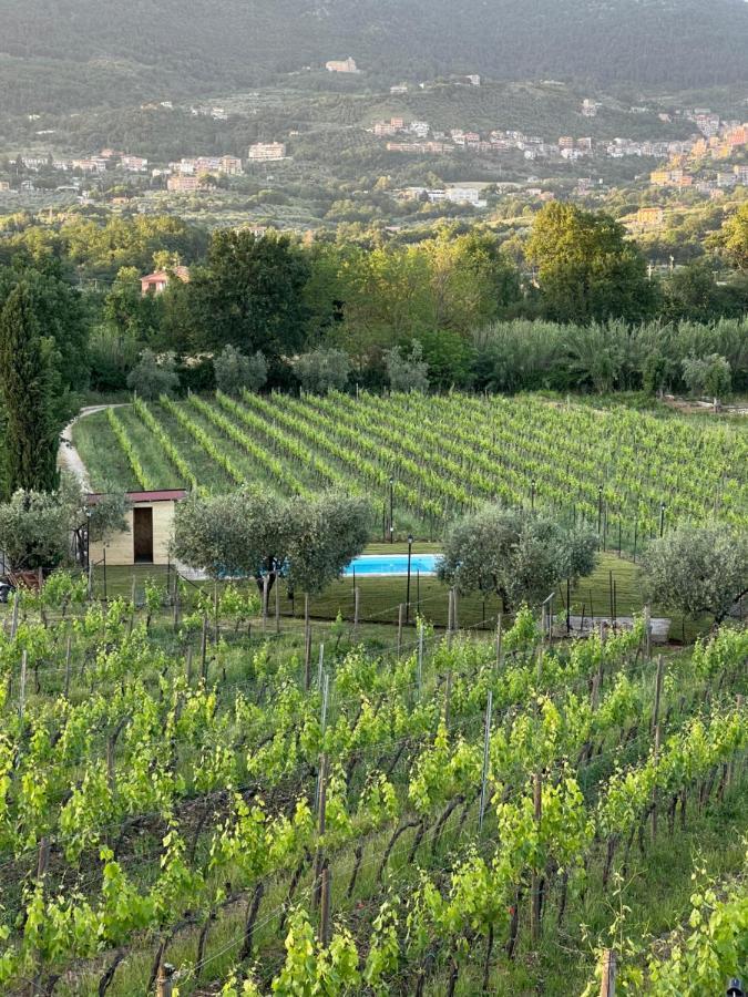 Piglio Casale Verdeluna Wine Resort מראה חיצוני תמונה