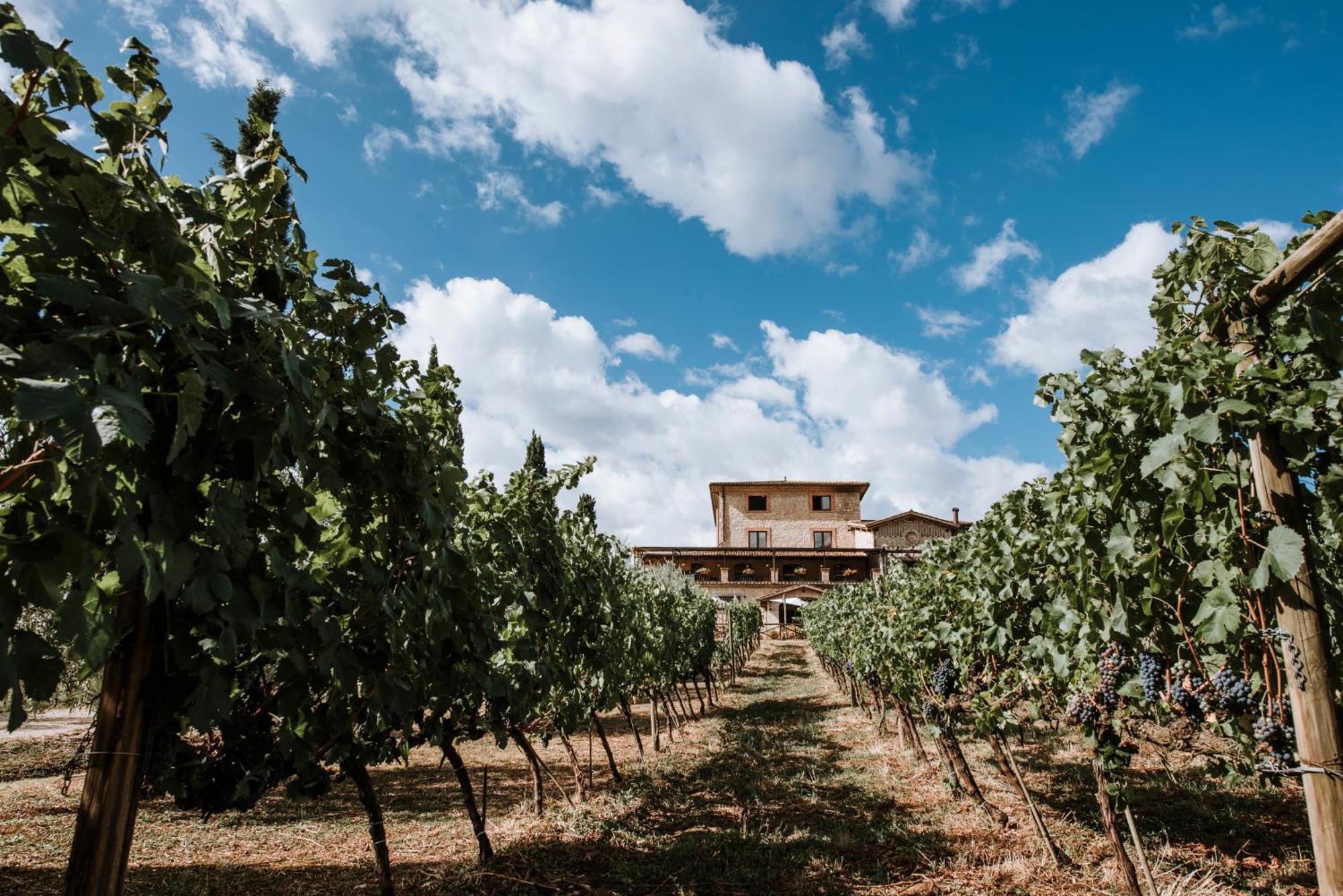 Piglio Casale Verdeluna Wine Resort מראה חיצוני תמונה